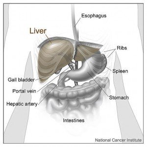 alcohol and health